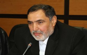 نائب ايراني: النشاطات الاميركية غير المشروعة ستحول الخليج الفارسي الى مقبرة لهم