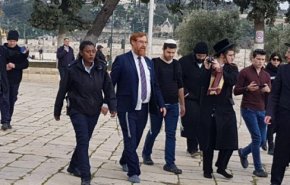 'يهودا غليك' يقتحم الأقصى برفقة 74 مستوطنًا
