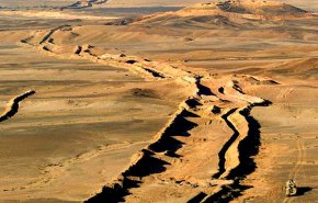 علماء يكشفون عن مخلوقات عملاقة سكنت الصحراء