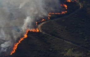 المئات من قوات الإطفاء يكافحون الحرائق بوسط البرتغال