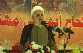 قاسم: من حق لبنان استخدام قوته الى جانب الجيش والشعب 