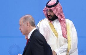 تفاصيل مخطط سري سعودي - اماراتي للاطاحة باردوغان !