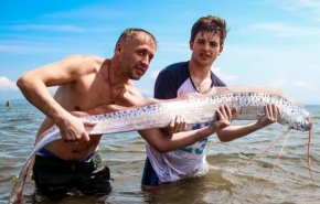شاهد السمكة التي تنبئ بقدوم الكوارث في روسيا!