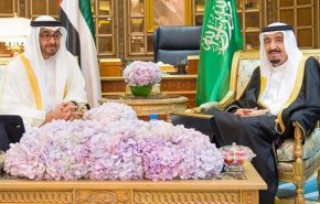 لقاء بين ولي عهد أبو ظبي والملك السعودي


