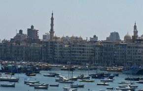 استنفار لكشف أسباب انتشار ديدان مخيفة في البحر بالإسكندرية