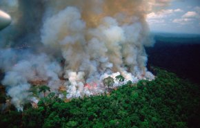 بالفيديو.. الحرائق في غابات الأمازون تزداد سوءا