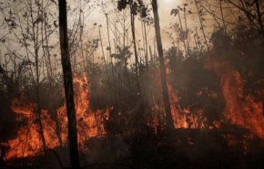 شاهد.. حرائق الأمازون تمتد وتهدد التغيرات المناخية