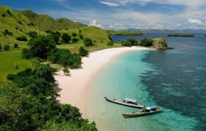 اندونيسيا ستغلق جزيرة كومودو والسبب ؟ 