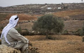 مخطط إسرائيلي لمُصادرة 1000 دونم شرق قلقيلية