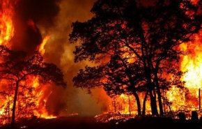 حرائق غابات استراليا تتخطى الـ 100 .. القادم أكثر خطورة