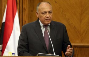  الخارجية المصرية تعلق على تشكيل اللجنة الدستورية السورية