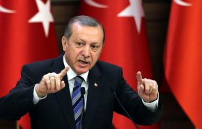 أردوغان: بما أنهم أيقظوا المارد النائم فليتحملوا العواقب!