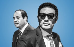 تفاعل مصري مع دعوة اسقاط السيسي 