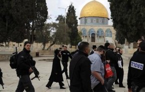 حماس: تصعيد المستوطنين يتطلب استنفارا فلسطينيا قويا