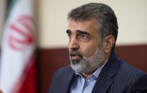 کمالوندی خبر داد: ورود ۳۸ تن سوخت جدید مورد نیاز نیروگاه اتمی بوشهر به کشور