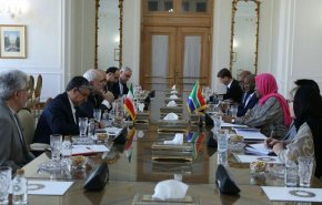 وزیر خارجه آفریقای جنوبی با ظریف دیدار کرد