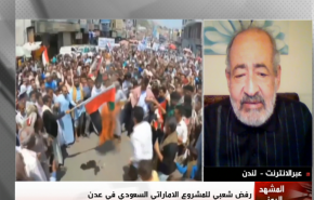الحكيمي: العدوان يريد ضرب اليمن ولا خلاف بين الرياض وابو ظبي + فيديو