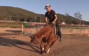 بالفيديو والصور: حيلة حصان كسول ابتكر خدعة الموت لتجنب ركوبه