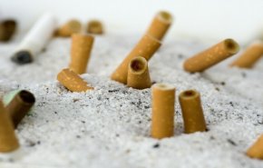 فلاتر السجائر تسبب التلوث