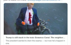 ماکت ترامپ در بین مارهای سمی در کانال فاضلاب در نیویورک سوژه رسانه ها شد