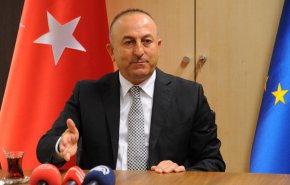 وزير خارجية تركيا يشن هجوما على دول عربية.. من هي؟