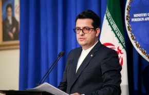 موسوی: دولت آمریکا نمی تواند با تحریم ها، جای جلاد و قربانی را عوض کند