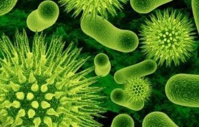 تحذير.. بكتيريا تهدد أرواح 400 آلاف كندي بحلول 2050