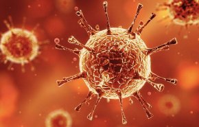 العلماء يعثرون على فيروس جديد في جسم الإنسان