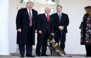 دیدار ترامپ با سگی که در عملیات کشتن البغدادی استفاده شد!