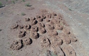اكتشاف مقبرة نادرة في سلطنة عمان