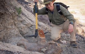رأس ديناصور تهدم نظرية سائدة في علم الحفريات