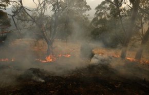 شاهد.. حرائق الغابات تهدد سيدني كبرى مدن استراليا