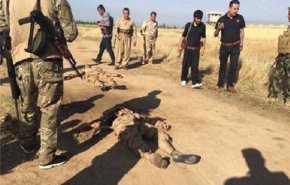 اعتراف عربستان به کشته شدن 2 نظامی این کشور در درگیری‌های مرزی با یمن