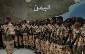 القوات السودانية تغادر جبهات الساحل الغربي لليمن