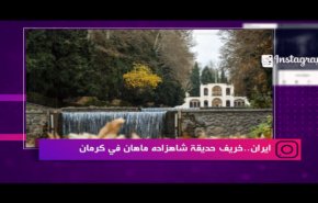 ايران..حصاد البنجر في محافظة سمنان