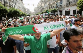 شاهد.. ما المخرج الأمثل للأزمة السياسية في الجزائر؟
