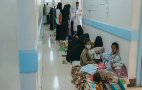 انفلونزا الخنازير يهاجم اليمن والوفيات في إزدياد