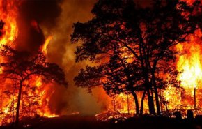 استراليا تأمر بإخلاء بلدتين بسبب تزايد حرائق الغابات