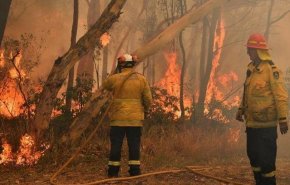 ارتفاع عدد القتلى حرائق الغابات في أستراليا