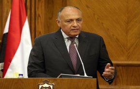 مصر تعلن موقفها من استشهاد الفريق سليماني