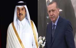 أمير قطر يبحث مع أردوغان تطورات الأوضاع في المنطقة