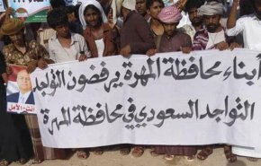 گزارش یک سازمان اروپایی از اقدامات ضد حقوق بشری ریاض در شرق یمن