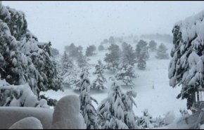الثلوج في لبنان تلامس الـ 800 متر غدا