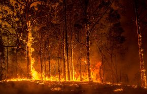 أستراليا تفقد الاتصال بطائرة تشارك في إخماد حرائق الغابات