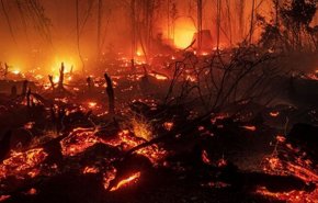 آتش در خانه کانگوروها/ پایتخت استرالیا در محاصره آتش