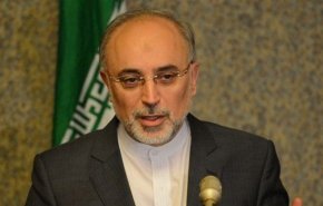 رئيس منظمة الطاقة الذرية الايرانية يصل الى فيينا