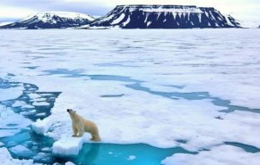 رکورد بی سابقه ترین گرمای هوا در قطب جنوب/ دمای قطب جنوب برای اولین بار به بالای ۲۰ درجه رسید