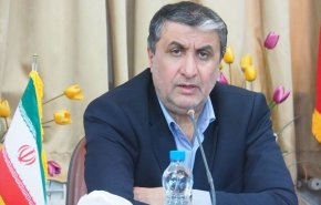 ايران: الصندوق الاسود للطائرة الاوكرانية قد يرسل الى دولة ثالثة