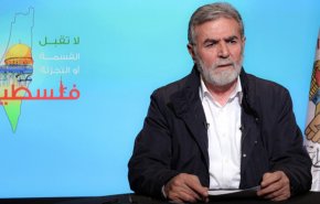 النخالة: المجرمون لا يمكن مواجهتهم بأغصان الزيتون