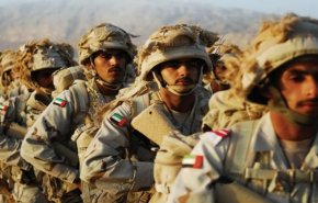 رغم إعلان الانسحاب... الإمارات تعزز أنشطتها في اليمن